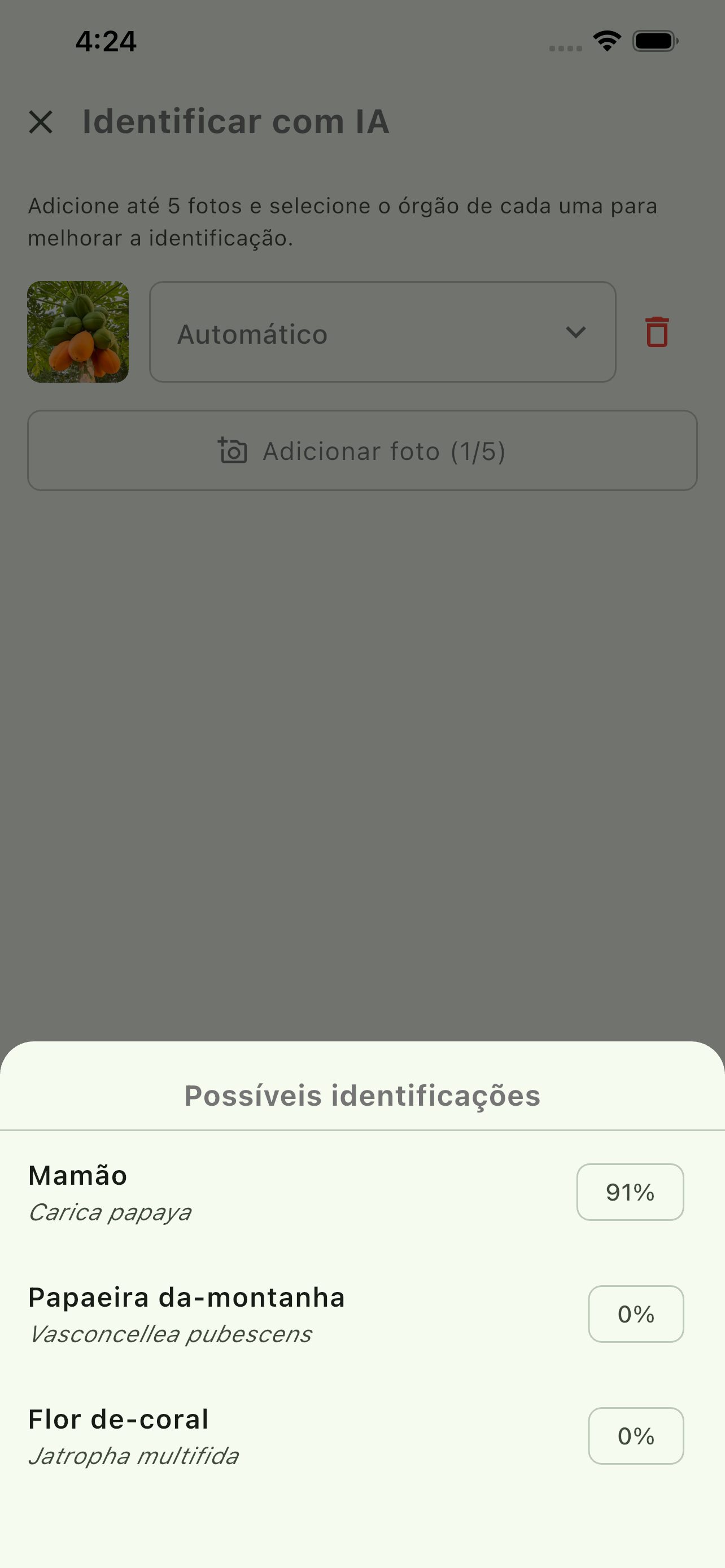 Identificação com IA